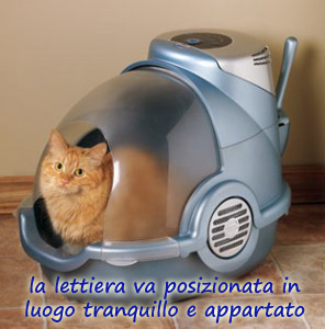 Lettiera gatto xxl